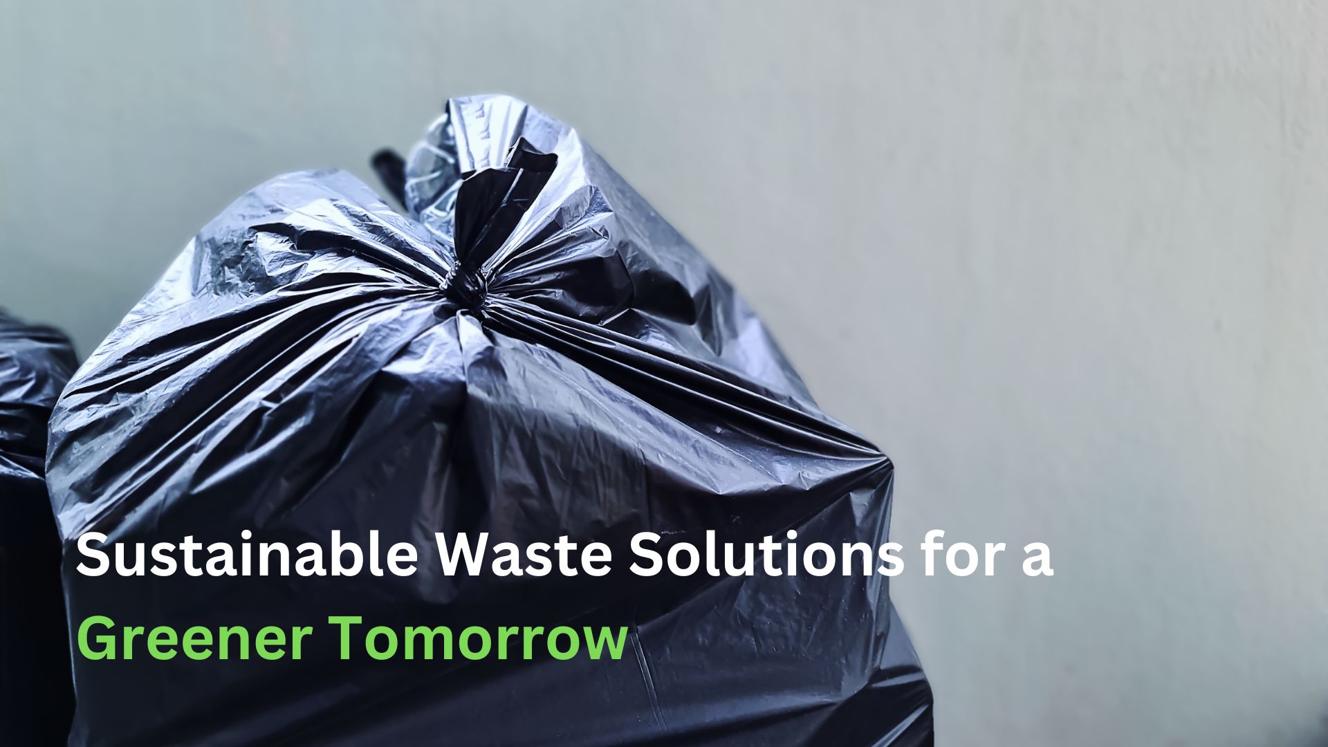 Waste bag with title written on the image